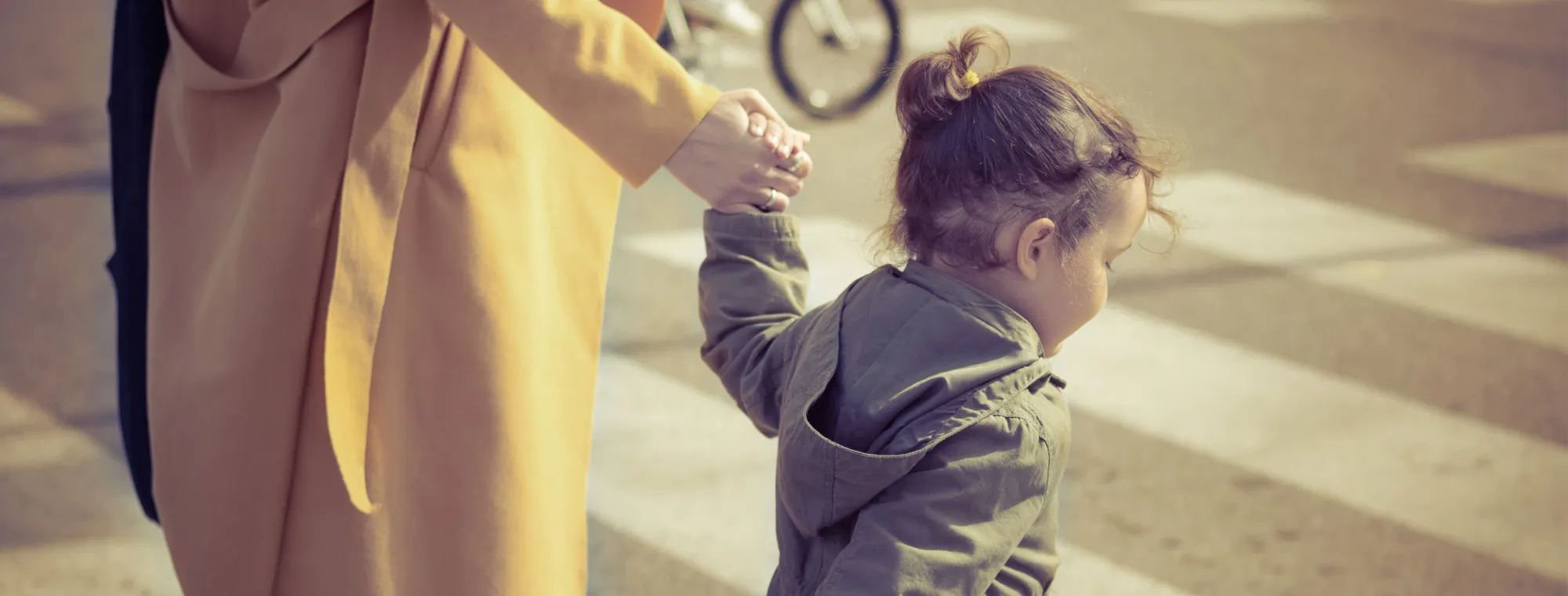 CarProf goede doel Veilig Verkeer Nederland en Fonds Slachtofferhulp